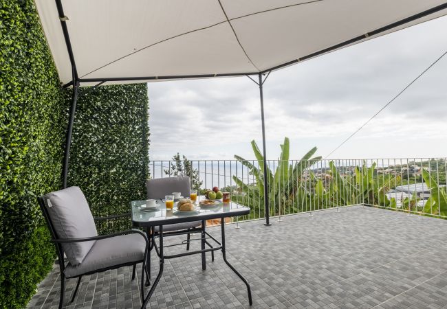 Ponta do Sol - Apartamento