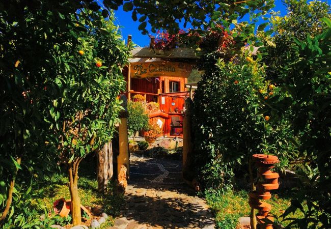 Bungalow/Linked villa in Calheta - Casas Maravilha - Cabana by Madeira Sun Travel